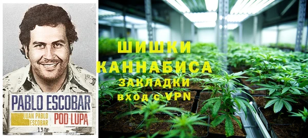винт Абаза
