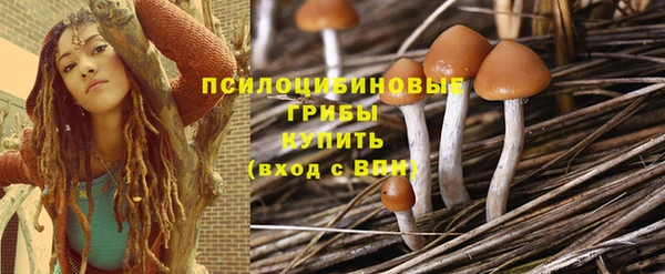 трава Абинск