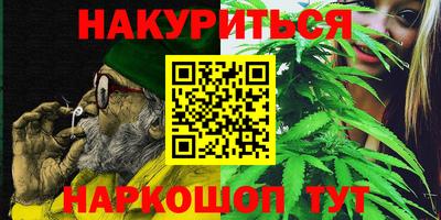 дмт Обь