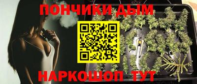 дмт Обь