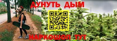 дмт Обь