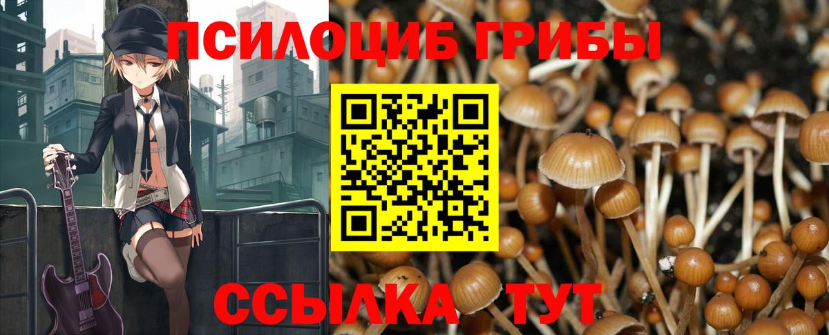 Галлюциногенные грибы Psilocybine cubensis  Галлюциногенные грибы прущие грибы  Вход с VPN  Югорск 