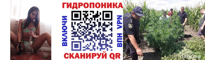 Марихуана индика Югорск